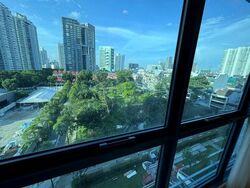 City Square Residences (D8), Condominium #556356691